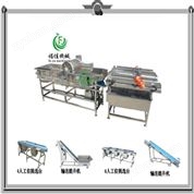 連續(xù)式渦流洗菜機(jī)