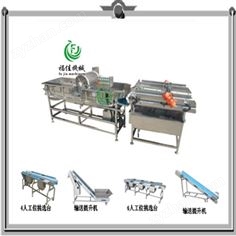 連續(xù)式渦流洗菜機(jī)